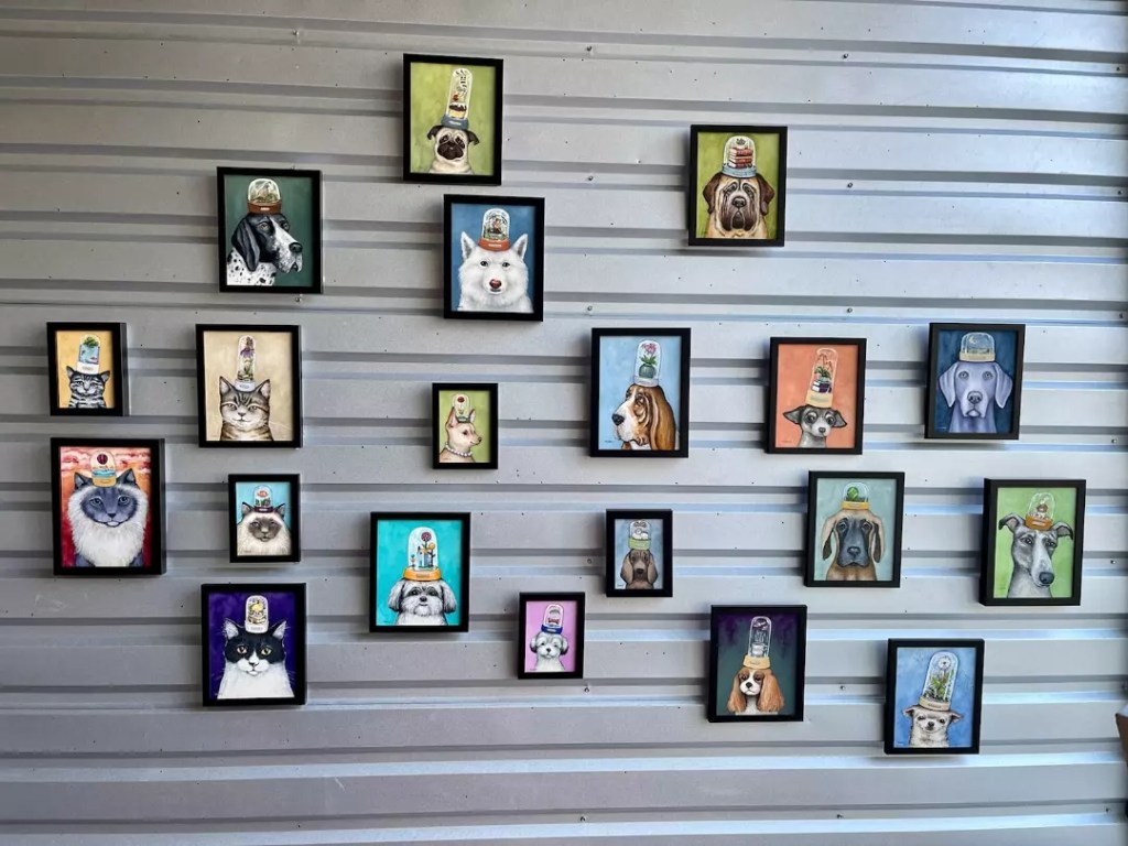 Odditerrarium and the&nbsp;week