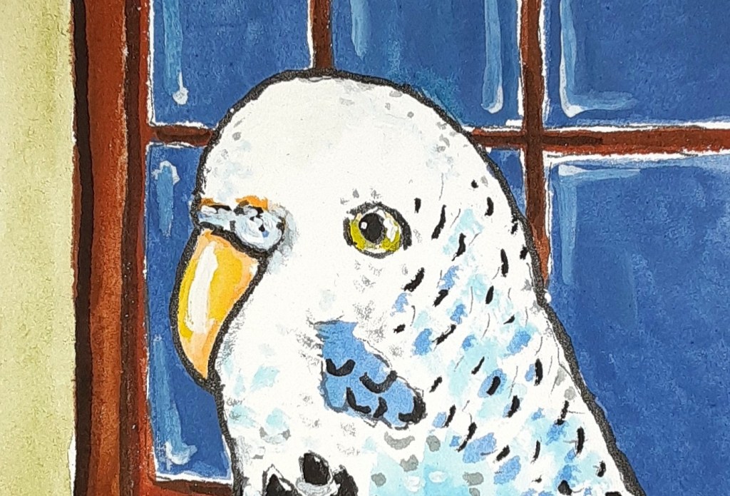 Alphapets Too: A,B,C and&nbsp;D