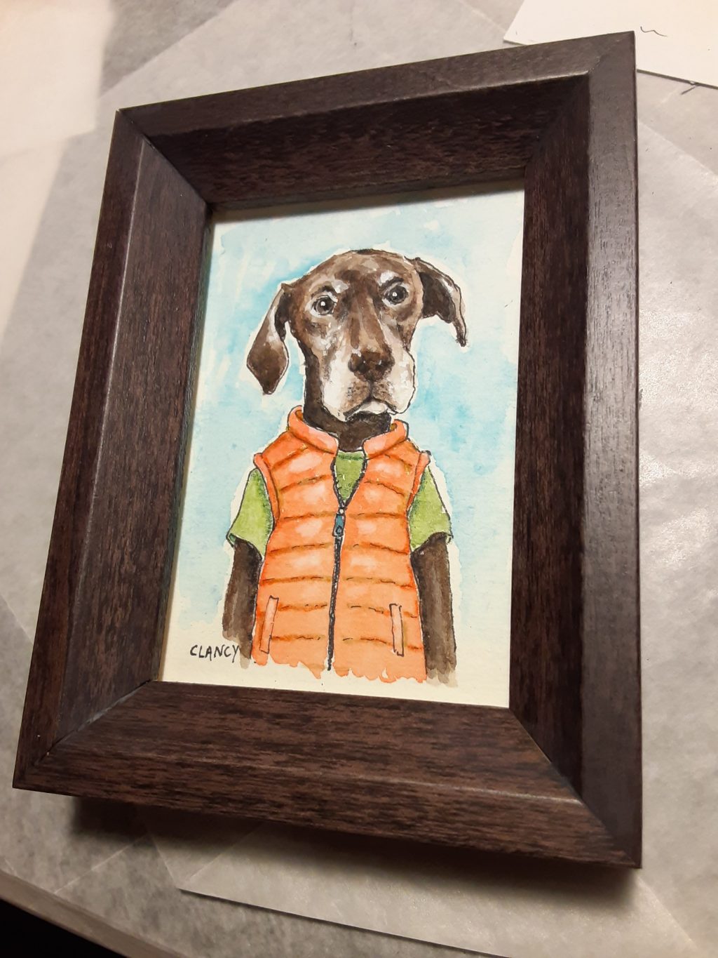 New Alphapets project