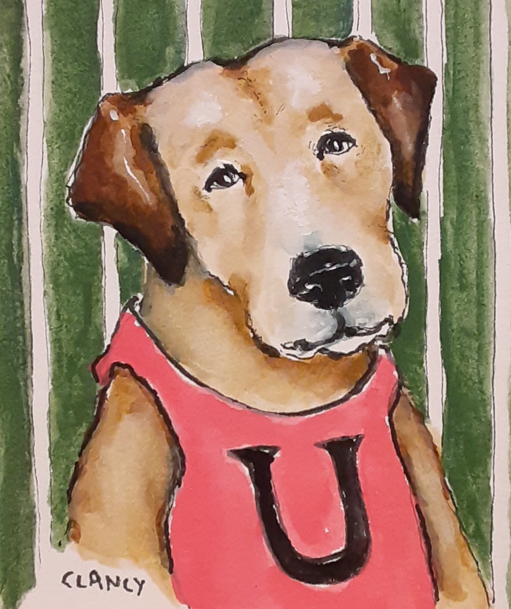 Alphapets: U, V, W and&nbsp;X